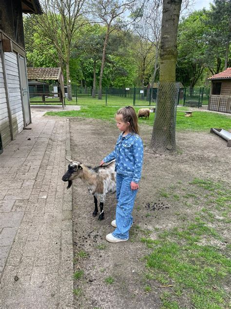 De leukste kinderboerderijen